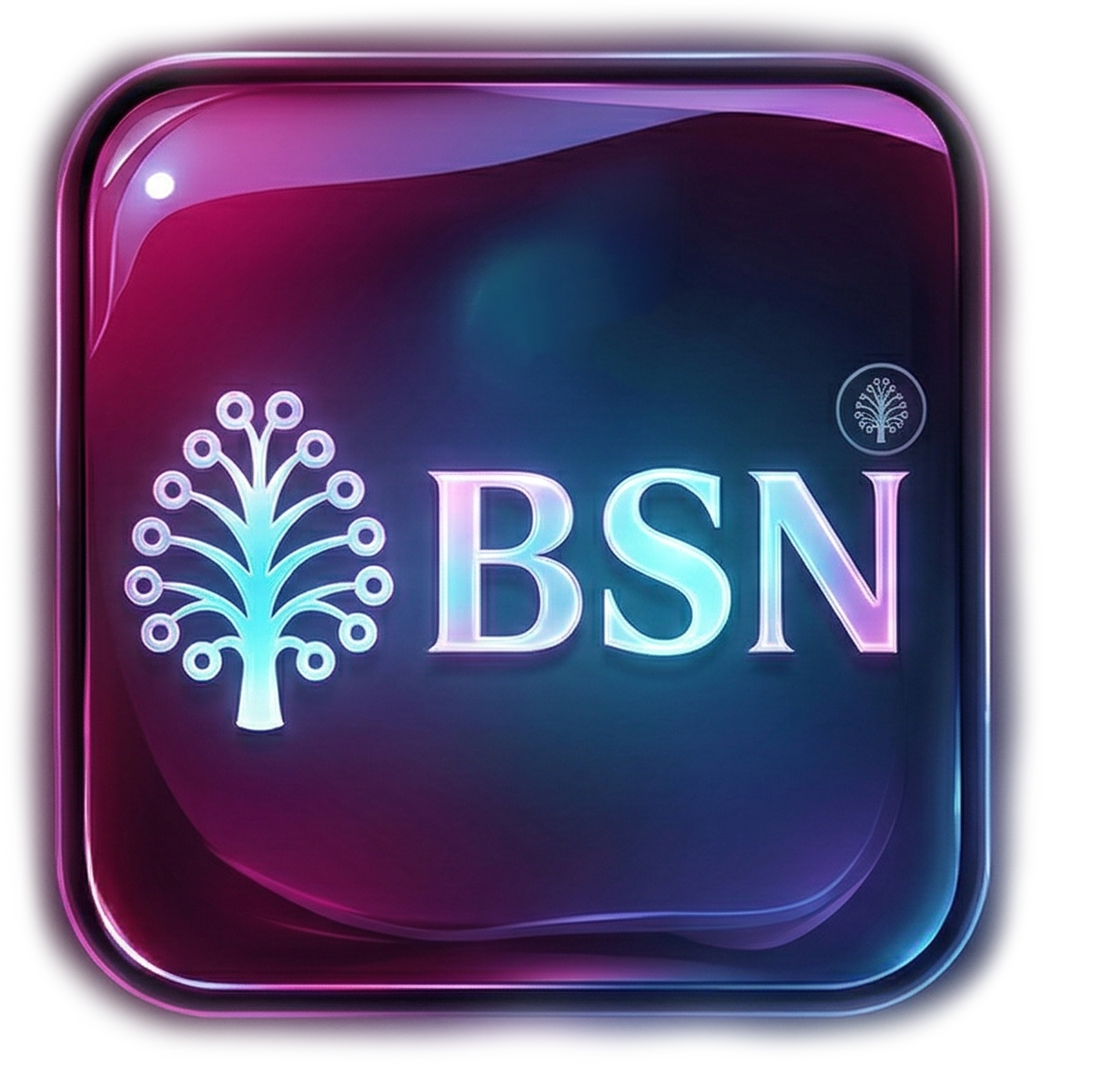 BSN